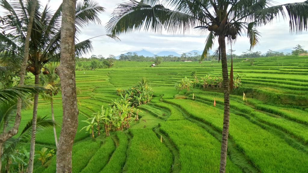 Rouge - Private Villa Condense Ubud  Ngoại thất bức ảnh